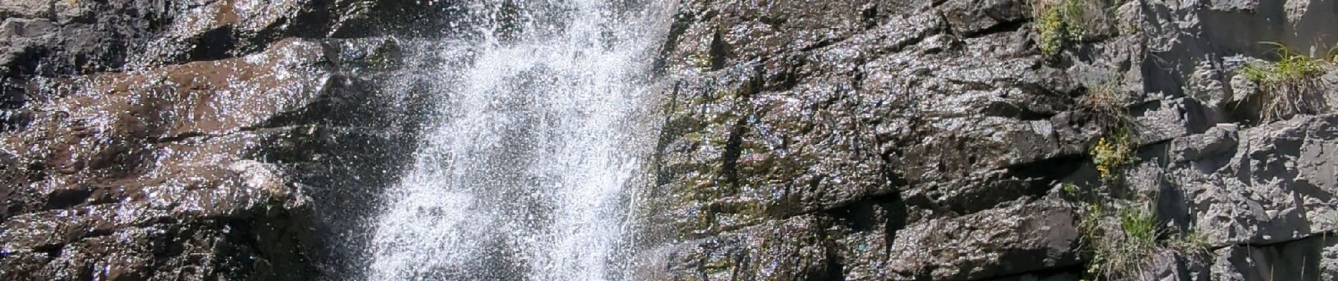 Tour Wandern Saint-Étienne-de-Tinée - Cime Becha vallée de Demandols - Photo