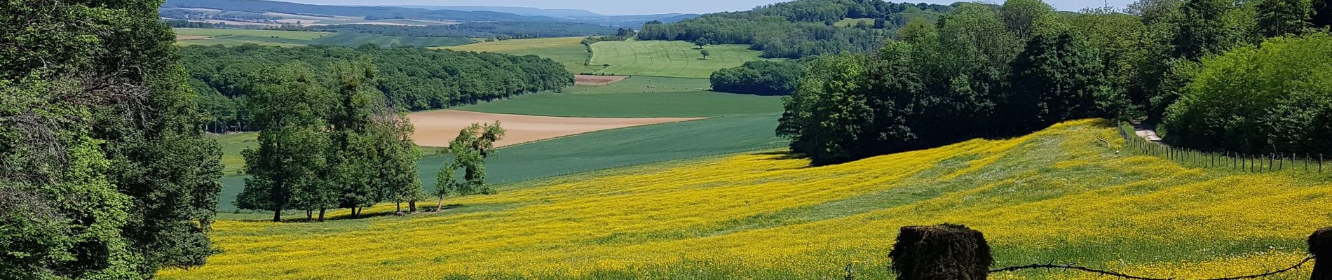 Excursión Senderismo Jussey - marche don du sang Jussey 15 5 2022 - Photo