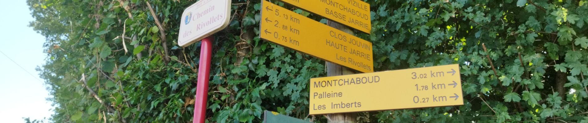 Randonnée Marche nordique Jarrie - Mon chabou -haut jarret  - Photo