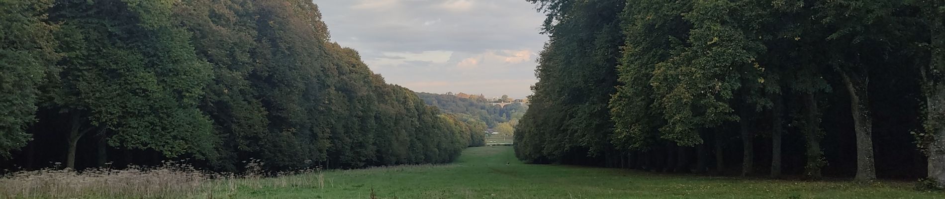 Trail Walking Clamart - Meudon châtaignes  - Photo