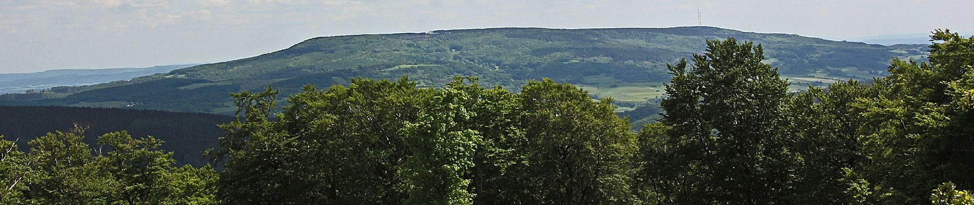 Excursión A pie Gutsbezirk Kaufunger Wald - Kaufunger Wald, Rundweg 11 - Steinberg - Photo