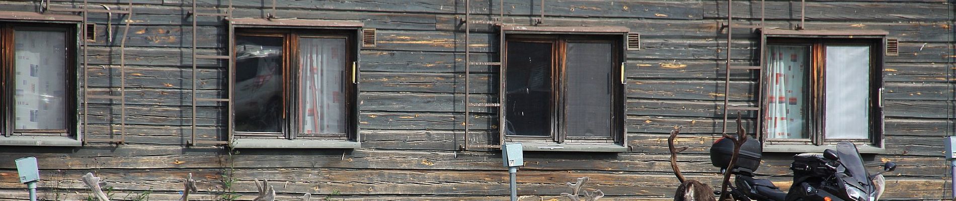 Percorso A piedi Muonio - Pallas-Mäntyrova-Torassieppi kesäreitti - Photo