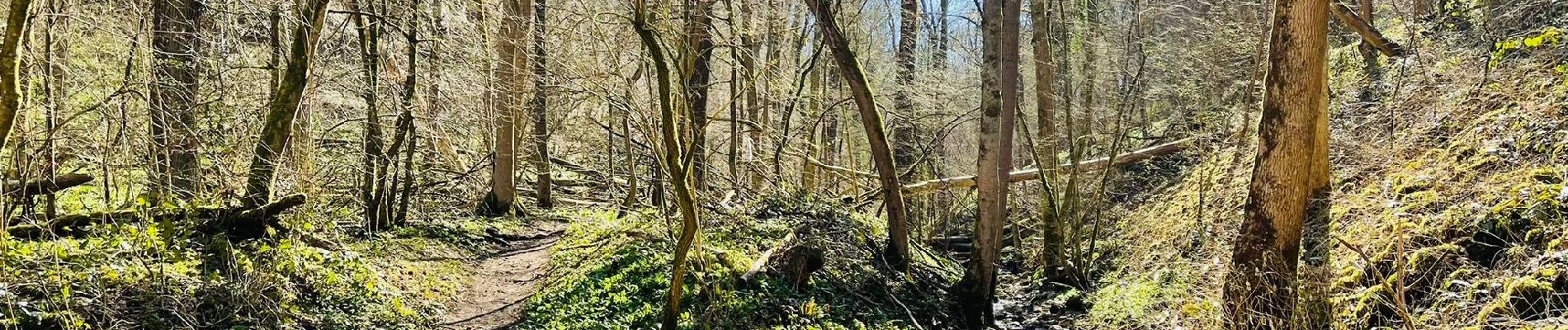 Percorso Marcia Huy - Vallée de la Solières : Chasse au trésor - Photo