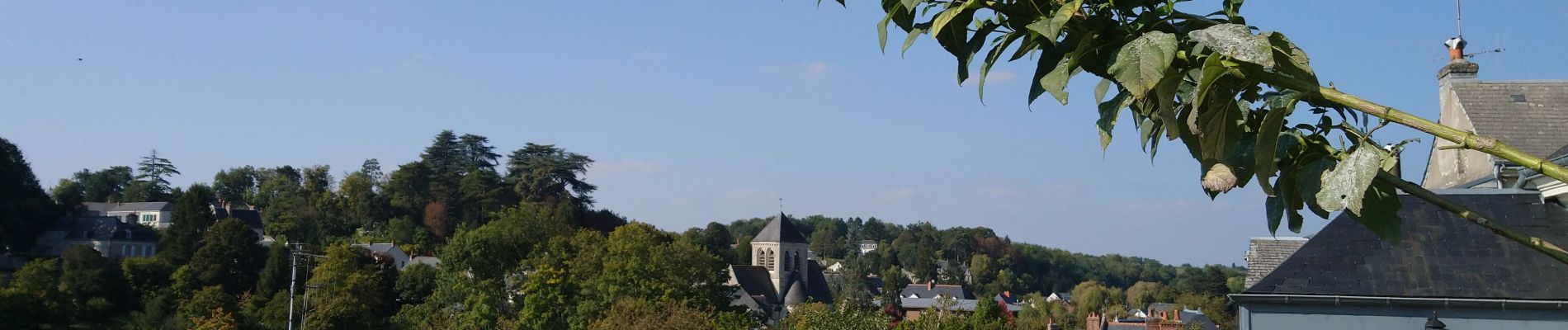 Tocht Stappen Tours (Indre-et-Loire) - Tours - Marmoutier GR3 GR655 Rochecorbon - 8.2km 105m 1h50 - 2021 10 09 - Photo