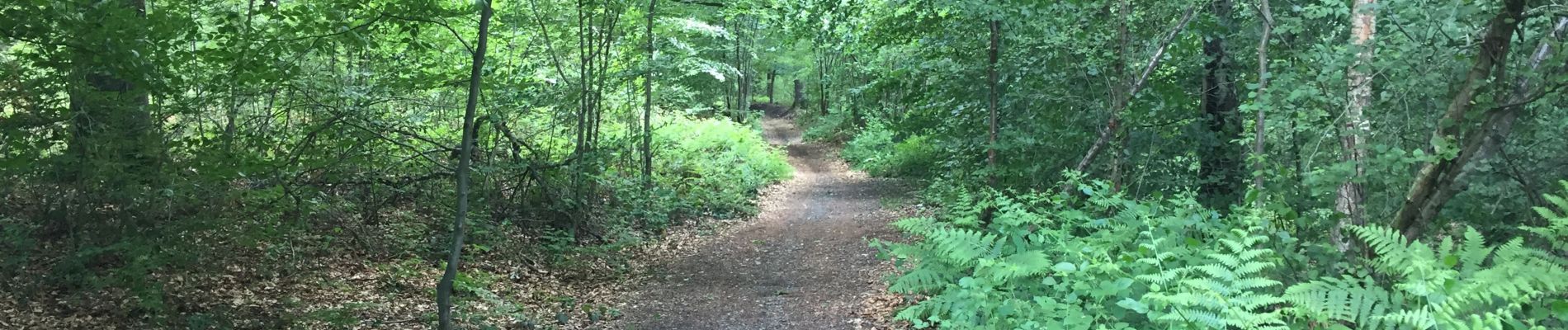 Tocht Stappen Limburg - Grunhault  - Photo