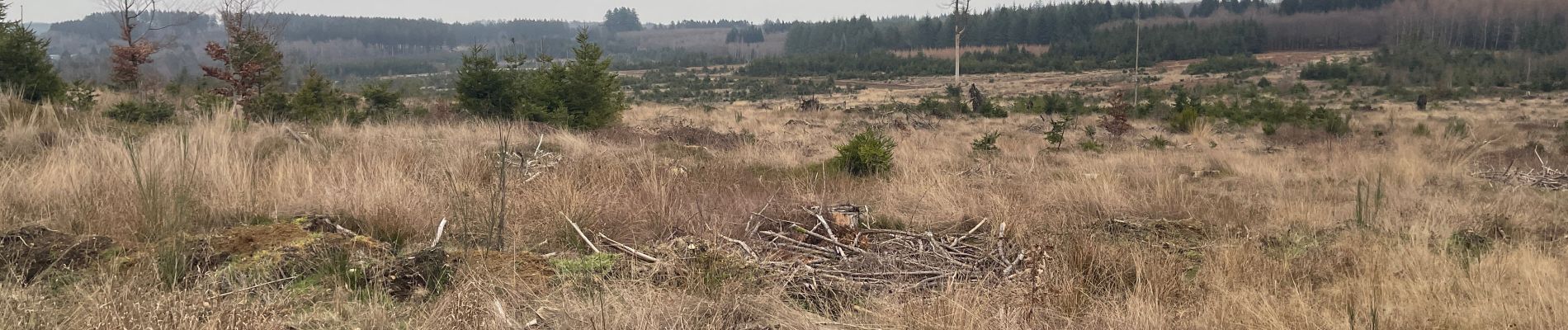 Tour Wandern Léglise - ADEPS les fosses - Photo