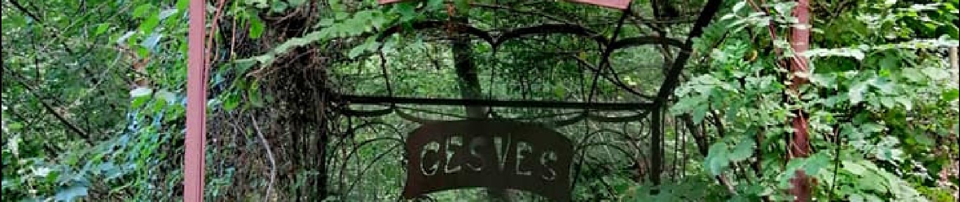 Tour Wandern Gesves - Sentier d’art à Gesves - Photo