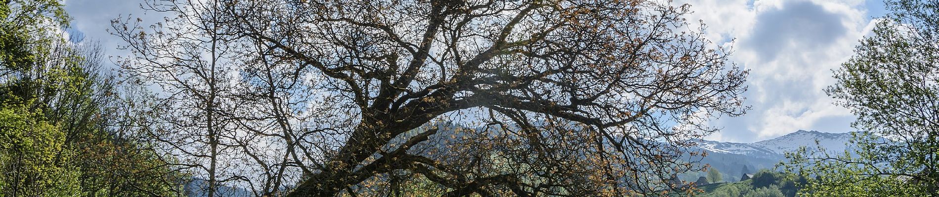 Randonnée A pied Irdning-Donnersbachtal - Moseralm - Photo