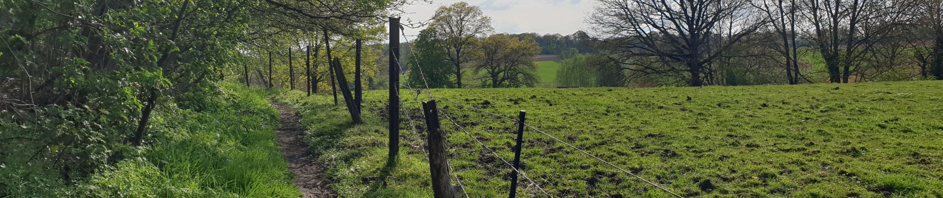 Randonnée Marche Chaumont-Gistoux - Dion-le-Mont - Bonlez - Photo