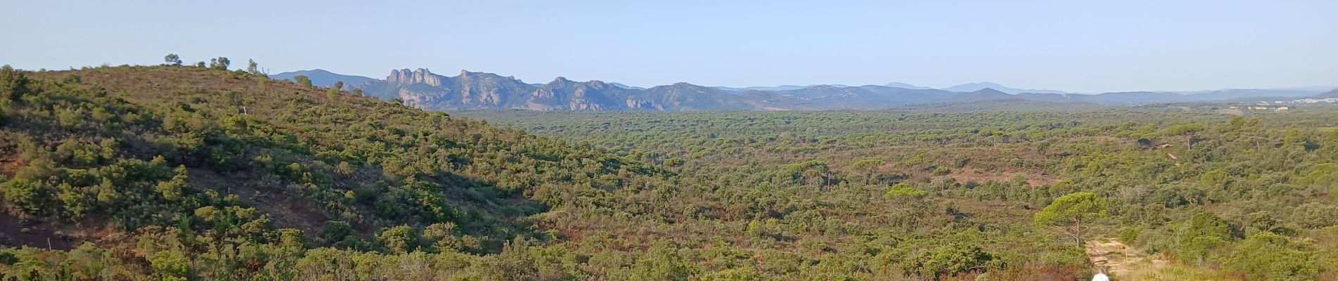 Tour Wandern Roquebrune-sur-Argens - l'olivier  - Photo