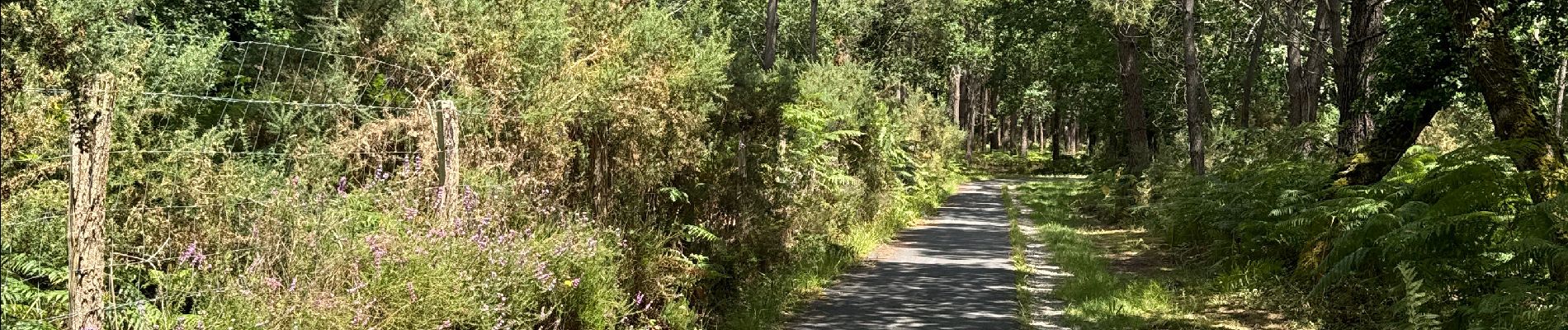 Tocht Hybride fiets Vendays-Montalivet - Montalivet - Queyrac - Phare de Richard - Photo