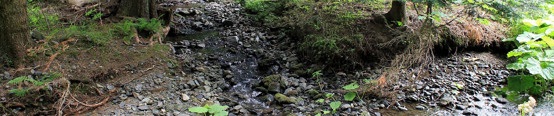 Tocht Te voet Stadtsteinach - Geo-Pfad Steinachtal - Photo