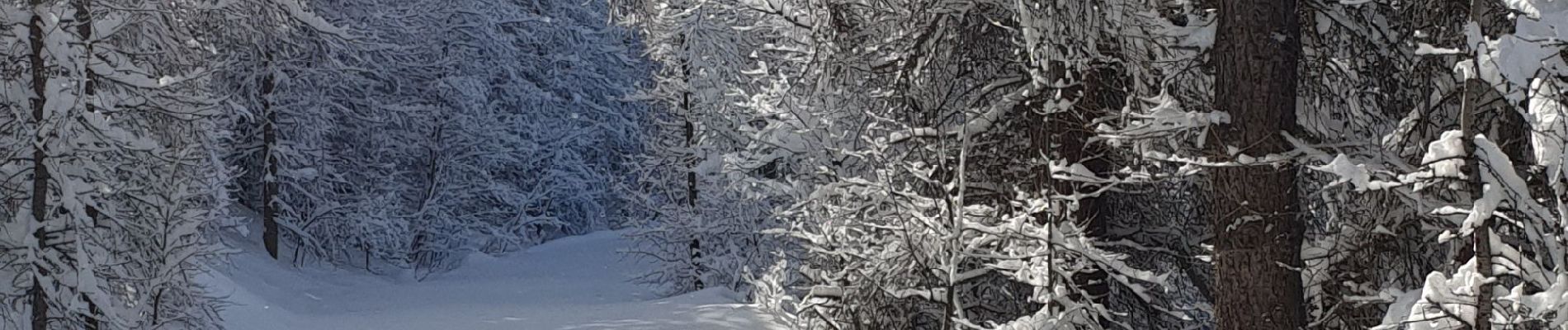 Tour Wandern Risoul - risoul 1850/ haut Gaudissard - Photo