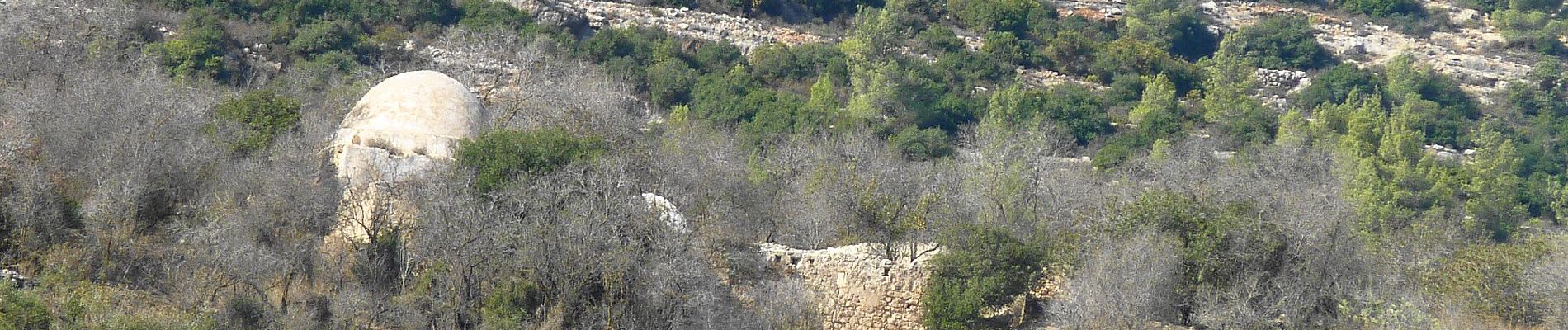 Tour Zu Fuß Regionalverwaltung Mateh Jehuda - הר פיתולים - Photo