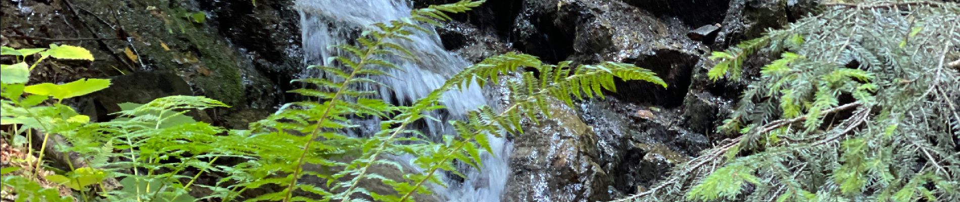 Trail Walking Lavaldens - Cabane de COMBOURSIERE - Photo