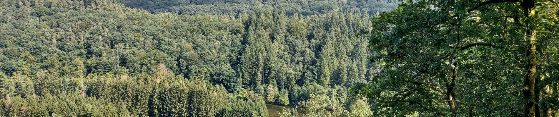 Randonnée Marche Bouillon - Rochehaut 310821 - Photo