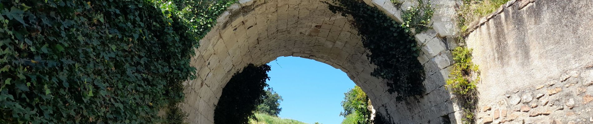 Randonnée Marche Saumur - MAINE ET LOIRE / SAUMUR: DECRASSAGE - Photo