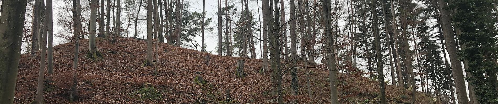 Randonnée A pied Berg am Irchel - Irchel Hochwacht - Winterthur - Photo