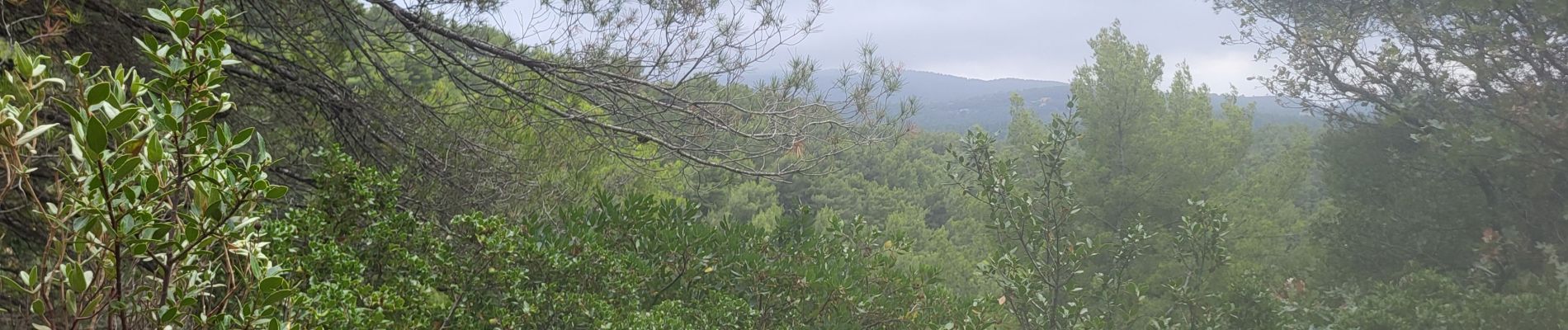 Tour Wandern Évenos - Ste Anne d'Evenos - Photo