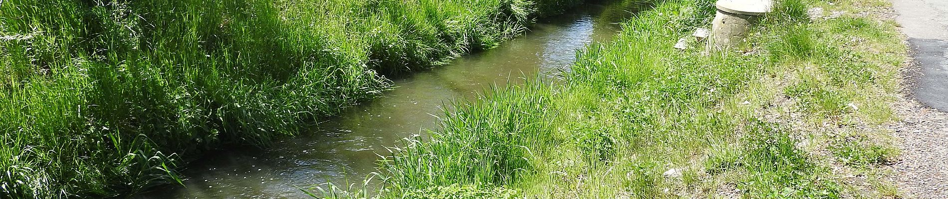 Percorso A piedi Neustadt an der Orla - Durch Wälder Fluren Dörfer des Buntsandsteingebietes - Photo