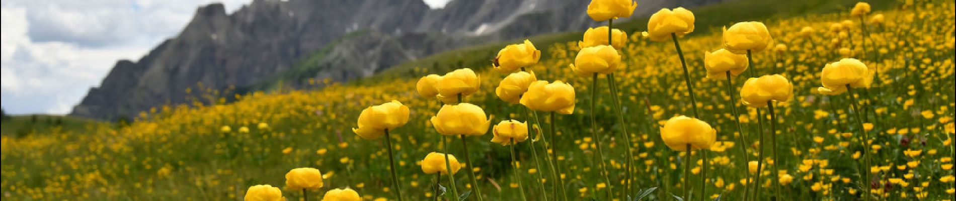 Tour Wandern Colmars - Pk Ratery - Col des Champs - Photo