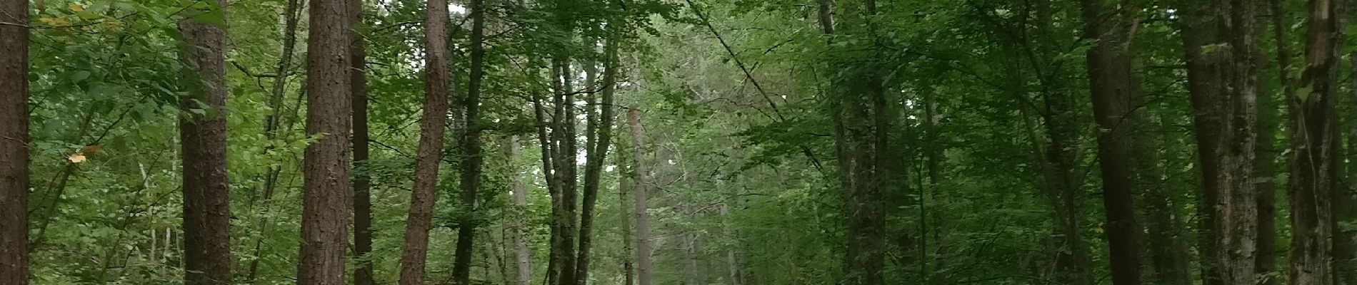 Tocht Stappen Corcelles-les-Monts - 2020-08-18 Corcelles-les-monts - Photo