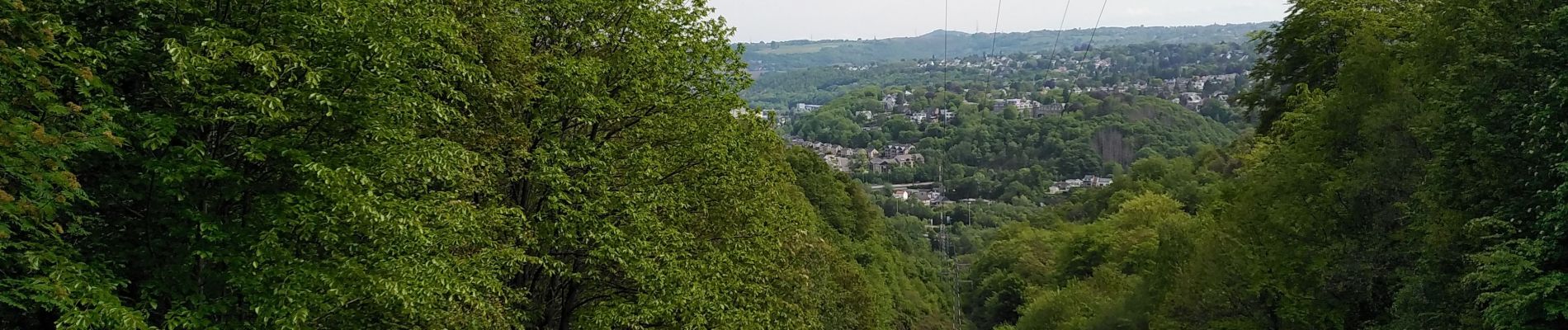 Randonnée Marche Liège - SART TILMAN  - Photo