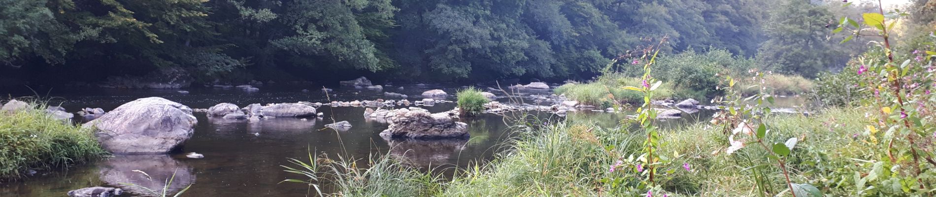 Tocht Stappen Sprimont - combain-au-pont vers camping des - Photo