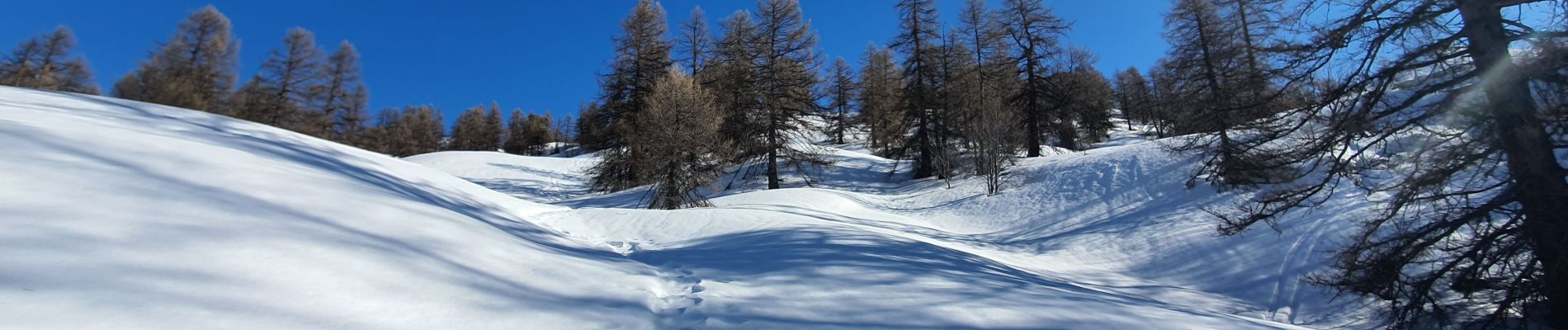 Tour Schneeschuhwandern Vars - Sur les pentes ouest de Peynier  - Photo