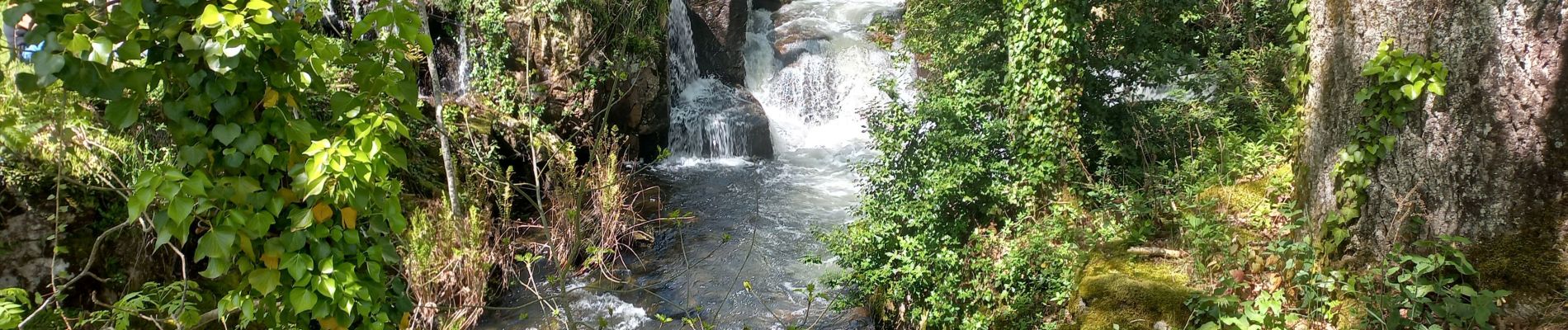 Trail Walking Brousses-et-Villaret - Le Villaret - Photo