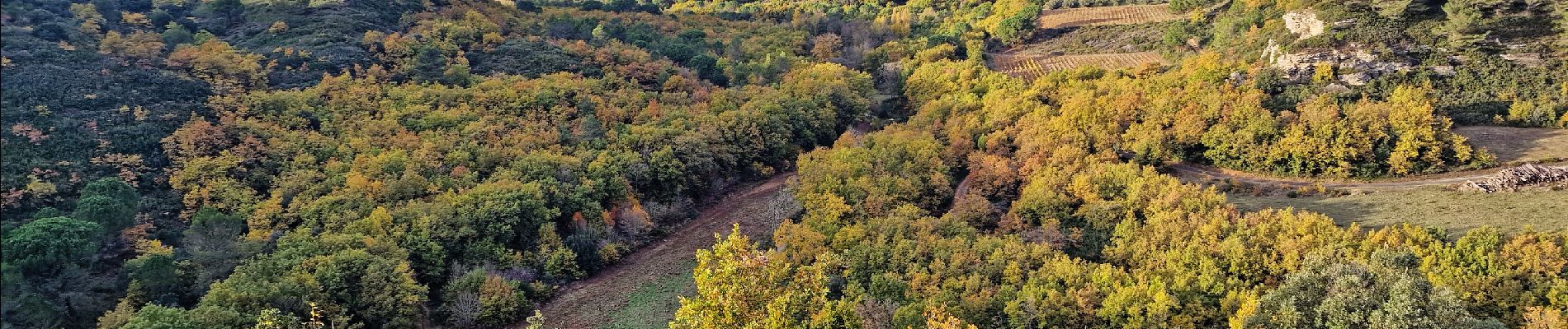 Tocht Stappen Conques-sur-Orbiel - Les Hauts du Rieu Sec - Photo