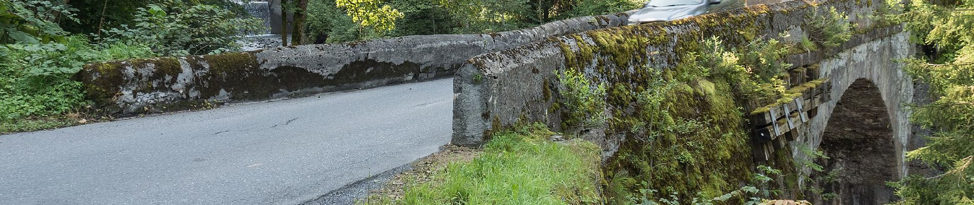 Tour Zu Fuß Mels - Vermol - Rütiwald - Photo