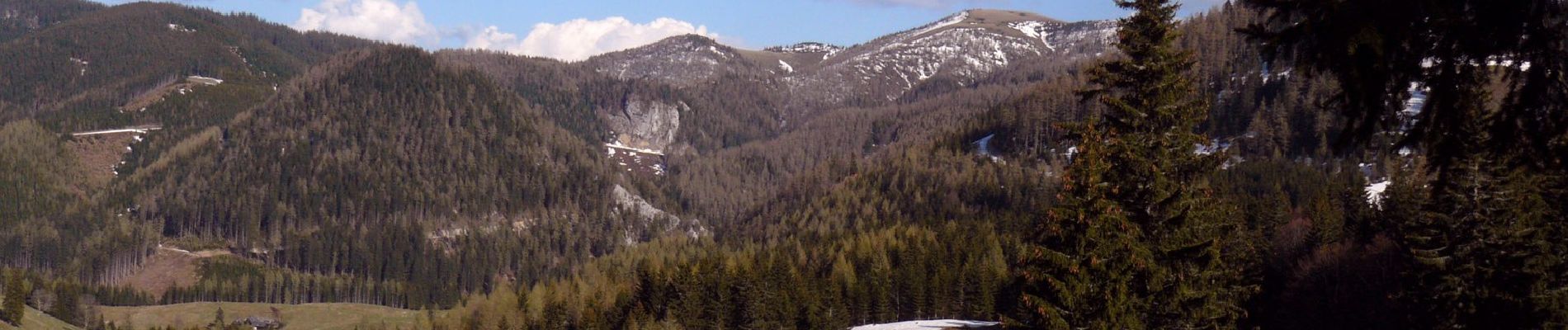 Percorso A piedi Turnau - Gamssteig - Photo