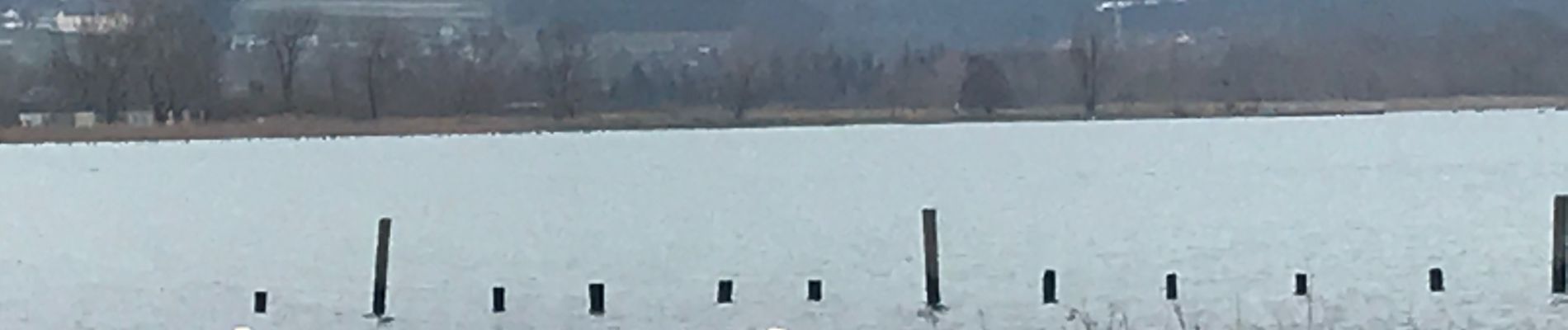 Randonnée Marche Viviers-du-Lac - Les Mottets - Photo