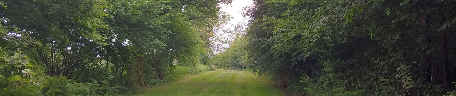 Tocht Stappen Chimay - depart poreaupre - Photo