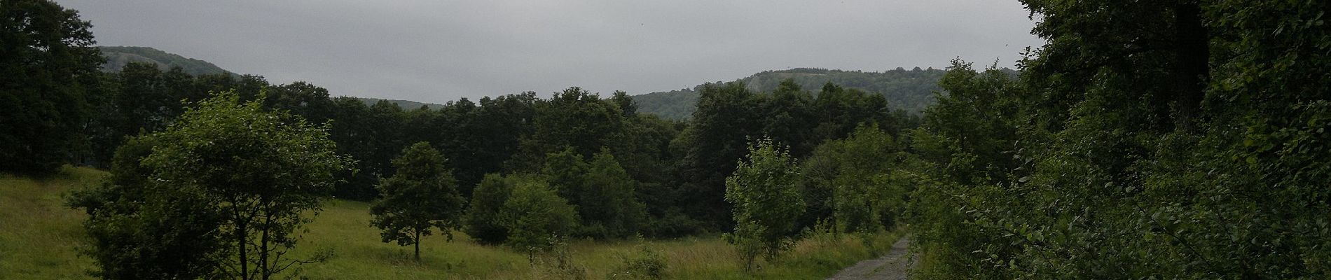 Trail On foot Felsőtárkány - K+ ( Stimecz-ház - Tamás-kút ) - Photo