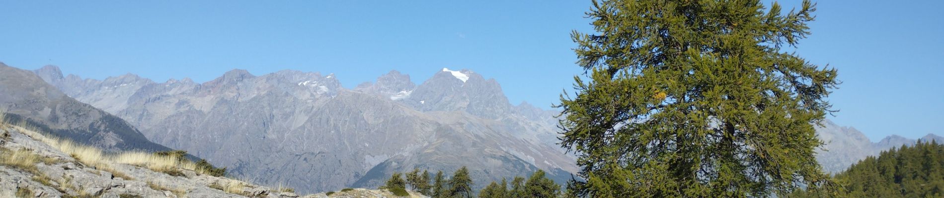 Trail Walking L'Argentière-la-Bessée - Les Têtes et tête d'Oréac  - Photo