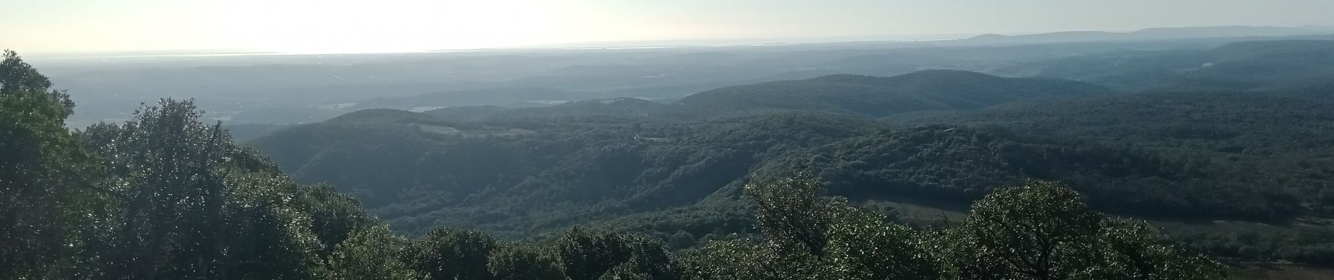 Tour Wandern Mas-de-Londres - Mas de Londres - le Pic St Loup du 05-02-2024 - Photo