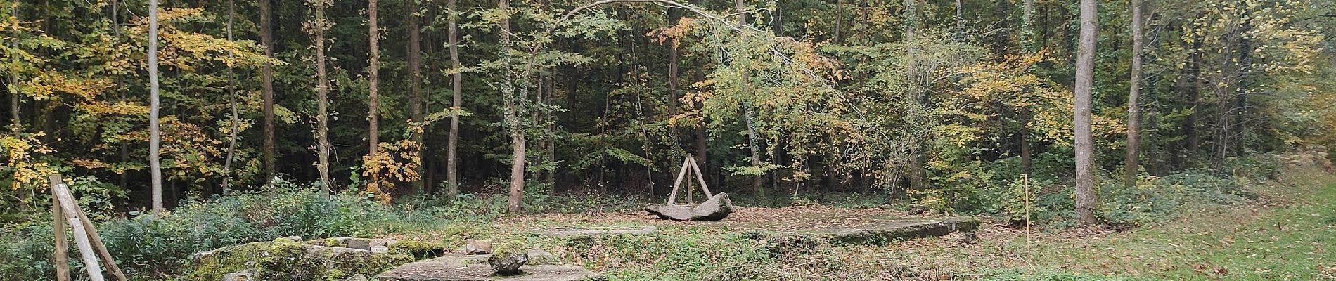 Randonnée A pied Saint-Léger-aux-Bois - La Bienfaisance - Photo