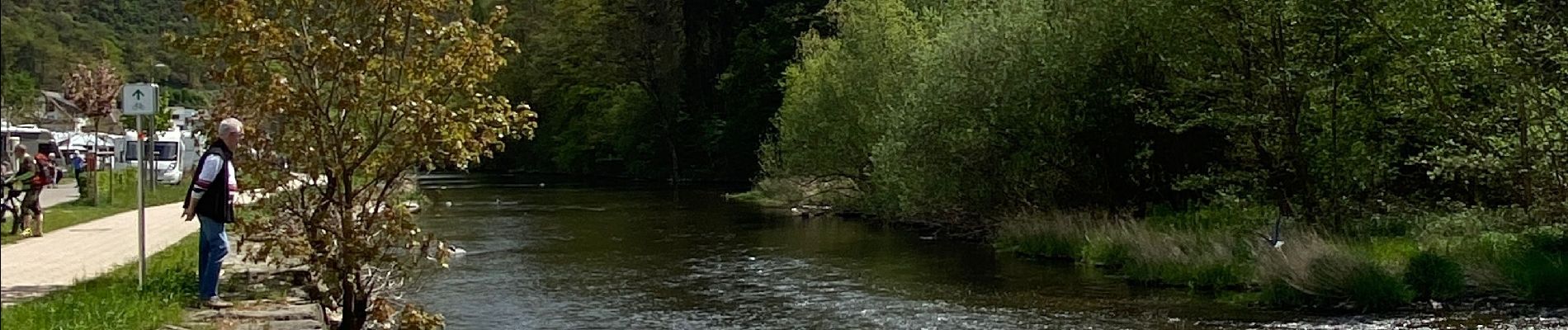 Trail Walking Tandel - Promenade Bettel - Vianden - Photo