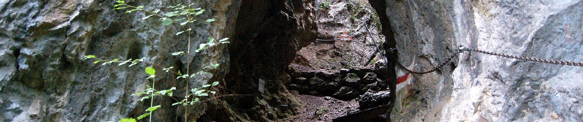 Randonnée A pied Gemeinde Schrattenbach - Schrattenbach - Ruine Schrattenstein - Flatzer Anger - Photo