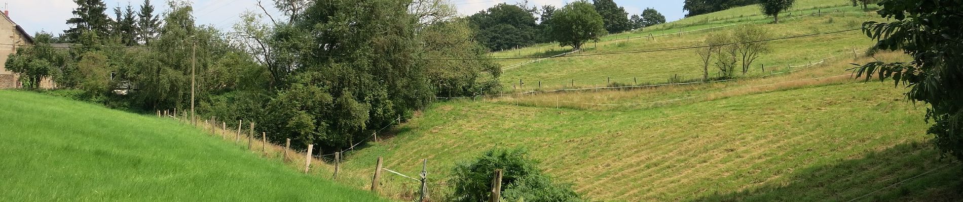 Tour Zu Fuß Unbekannt - Rundweg um Kupferdreh - Photo