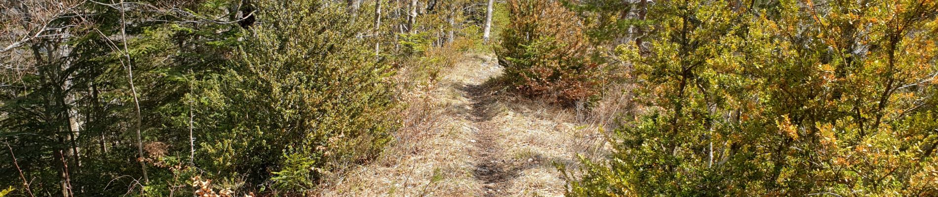 Tocht Stappen La Piarre - Serre du Charron - Photo