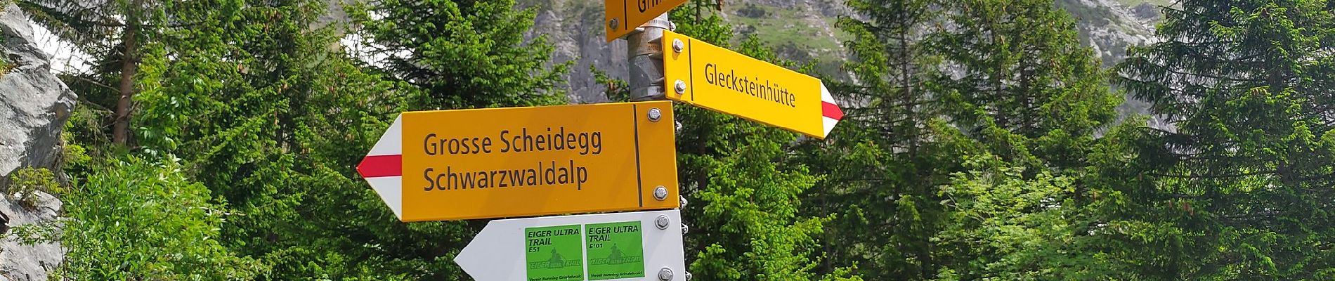 Randonnée A pied Grindelwald - CH-Unterlauchbühl - Bort - Photo
