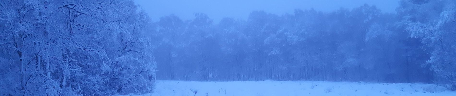 Excursión Senderismo Spa - tour de la fagne de Malchamps entre chiens et loup . dernière rando de cette année 2020 de merde - Photo