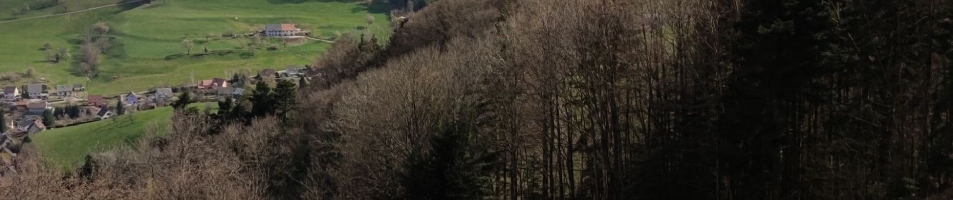 Tour Mountainbike Urbach bei Kaysersberg - Fréland - cimetière Duchesne - Photo