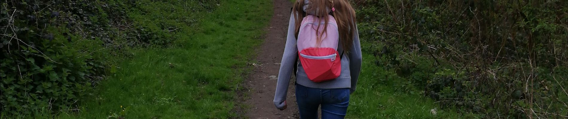 Percorso Marcia Morlanwelz - promenade bois et parc de mariemont - Photo