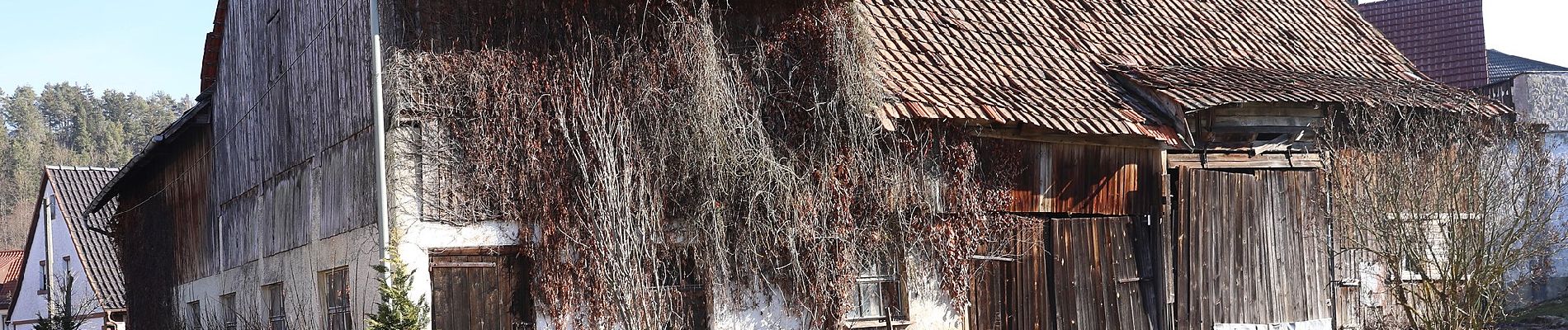 Percorso A piedi Weißenbrunn - Frankenwaldsteigla Stübengrabenweg - Photo