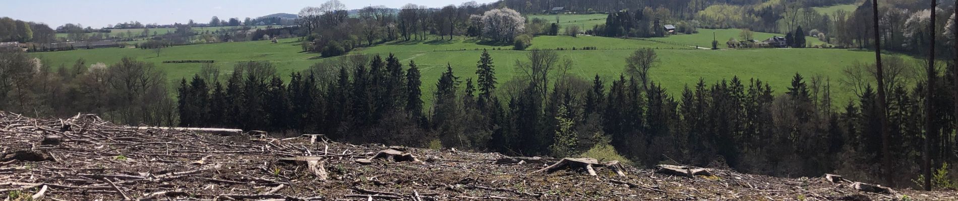 Tour Wandern Sprimont - Louveigne -andoumont-fraipont bis 12 Km - Photo