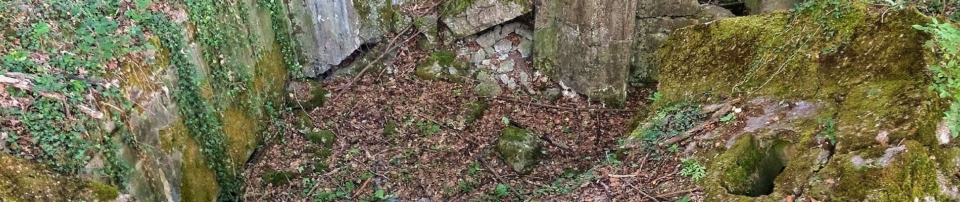 Tour Zu Fuß Merzig - Der Bietzerberger - Photo